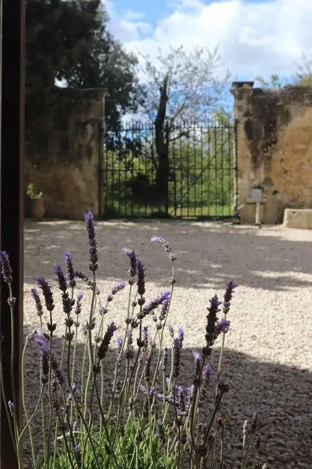 Villa Bastide Juliana à Saint-Paul-Trois-Châteaux Hébergement de vacances